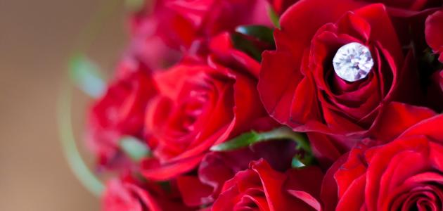 أشعار لعيد الحب أشعار لعيد الحب