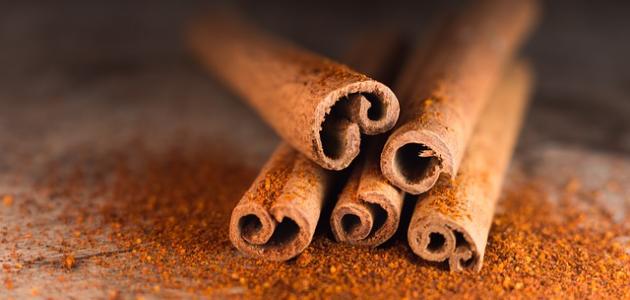 أضرار القرفة للوجه أضرار القرفة للوجه