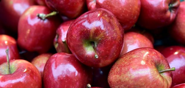 أطعمة خالية من الكوليسترول أطعمة خالية من الكوليسترول