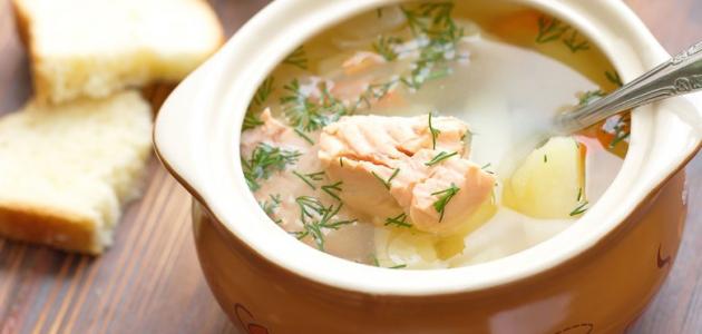 أطعمة مناسبة بعد عملية التكميم أطعمة مناسبة بعد عملية التكميم