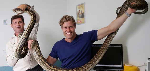 أطول ثعبان في العالم أطول ثعبان في العالم