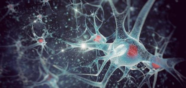 أعراض الاستسقاء الدماغي