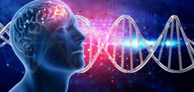 أعراض السرطان في الرأس أعراض السرطان في الرأس