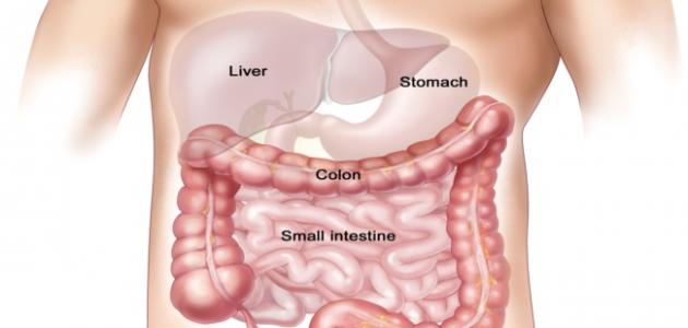 أعراض القولون الهضمي أعراض القولون الهضمي