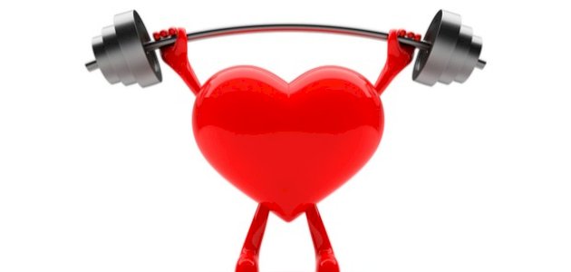 أعشاب تقوي عضلة القلب أعشاب تقوي عضلة القلب