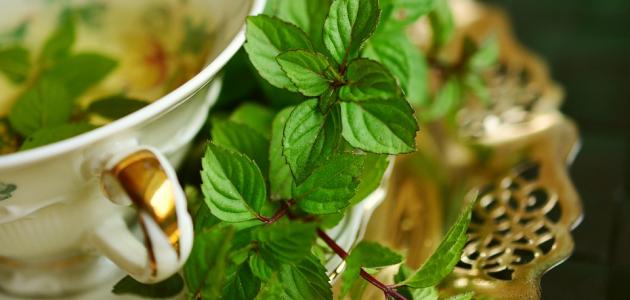 أعشاب ضيق التنفس أعشاب ضيق التنفس