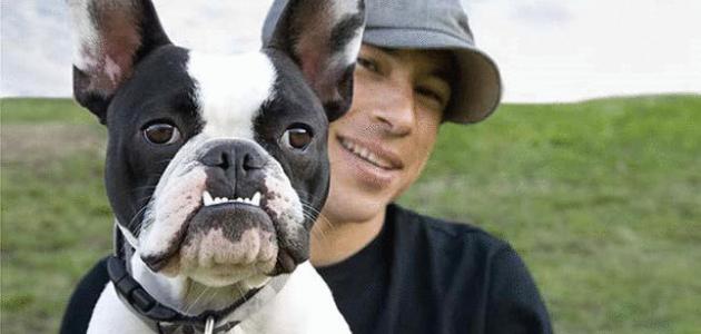 أغلى كلاب العالم أغلى كلاب العالم