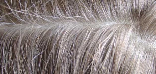 أفضل صبغة طبيعية للشيب أفضل صبغة طبيعية للشيب