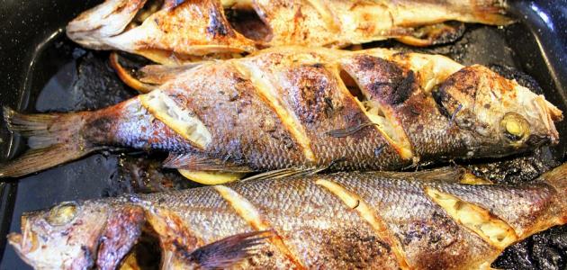 أفضل طريقة لعمل سمك القاروص