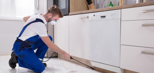 أفضل طريقة للقضاء على صراصير المطبخ أفضل طريقة للقضاء على صراصير المطبخ