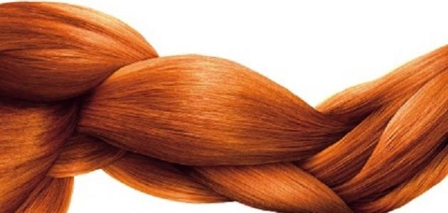 أفضل علاج لزيادة كثافة الشعر أفضل علاج لزيادة كثافة الشعر