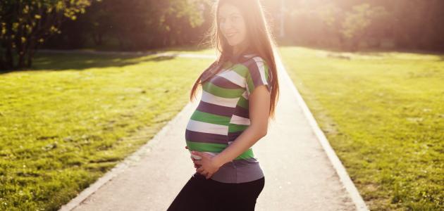 أفضل وزن للحامل أفضل وزن للحامل