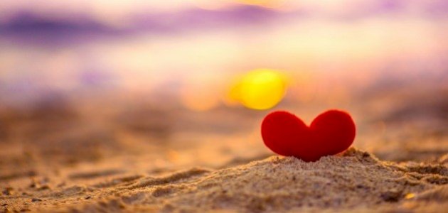 أقوال الحكماء عن الحب