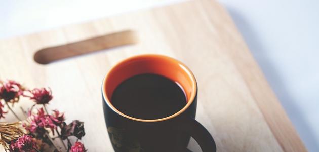 أقوال سقراط المشهورة أقوال سقراط المشهورة