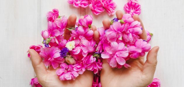 أقوال عن العطاء أقوال عن العطاء