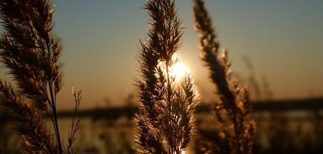 أقوال وحكم جميلة ومعبرة أقوال وحكم جميلة ومعبرة