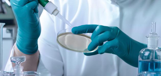 أقوى سم في العالم أقوى سم في العالم