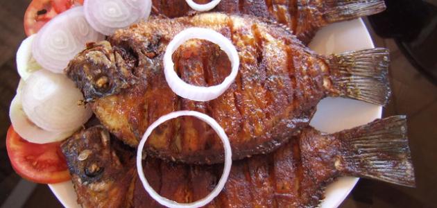 أكلات عراقية سهلة وسريعة أكلات عراقية سهلة وسريعة