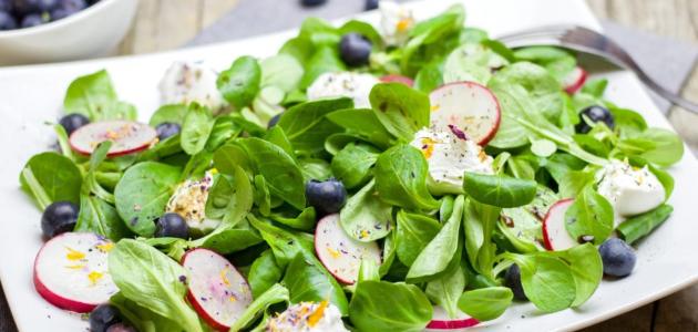 أكلات لا تحتاج طبخ أكلات لا تحتاج طبخ