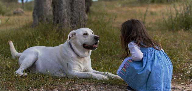 ألعاب ألغاز للأطفال عن الحيوانات ألعاب ألغاز للأطفال عن الحيوانات