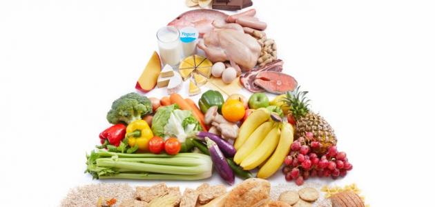 أنواع الأغذية أنواع الأغذية