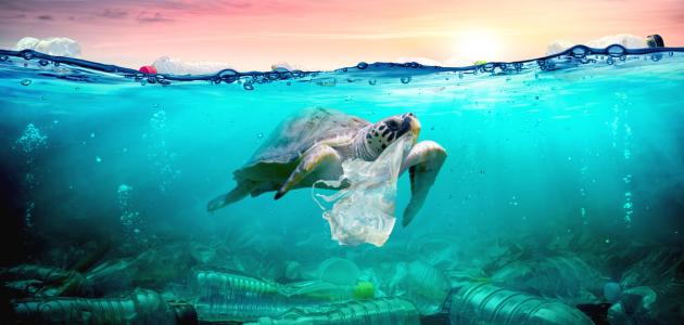 أنواع التلوث أنواع التلوث