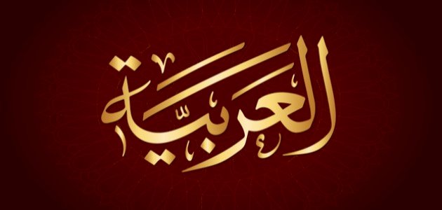 أنواع التوابع