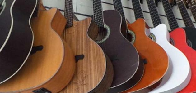 أنواع الجيتارات أنواع الجيتارات
