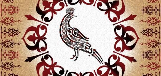 أنواع الزخارف أنواع الزخارف