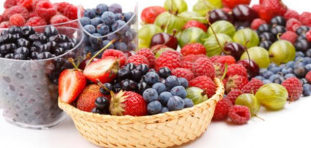 أنواع الفواكه الصيفية أنواع الفواكه الصيفية