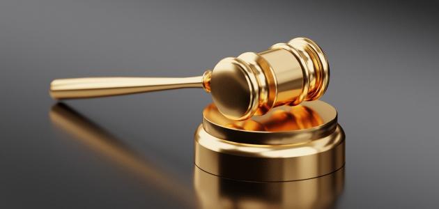 أنواع القضايا الجزائية أنواع القضايا الجزائية