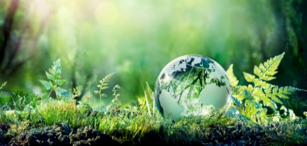 أنواع النظم الإيكولوجية أنواع النظم الإيكولوجية