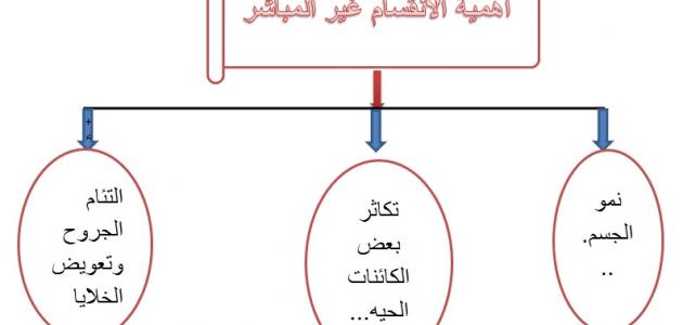 أهمية الانقسام غير المباشر أهمية الانقسام غير المباشر