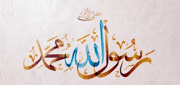 أهمية السيرة النبوية أهمية السيرة النبوية