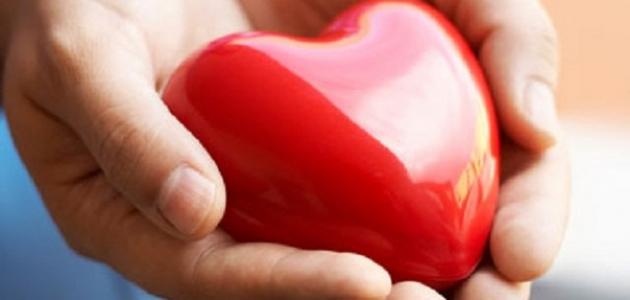 أهمية القلب أهمية القلب