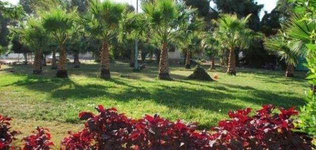 أهمية المساحات الخضراء أهمية المساحات الخضراء