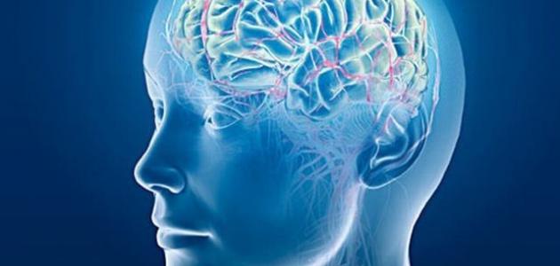 أول مبتكر لقياس الذكاء أول مبتكر لقياس الذكاء