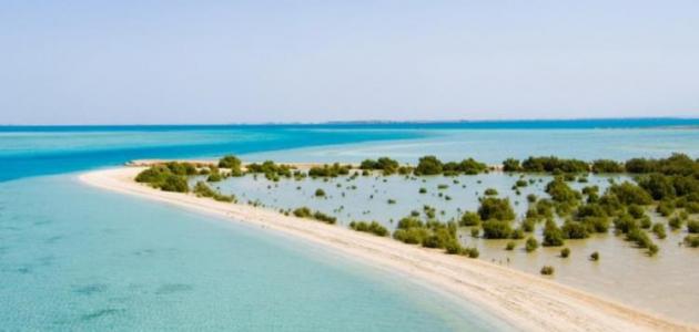 أين تقع جزيرة فرسان