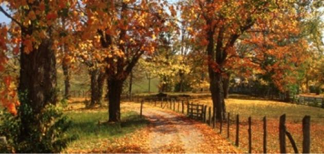 أين تقع فرجينيا أين تقع فرجينيا