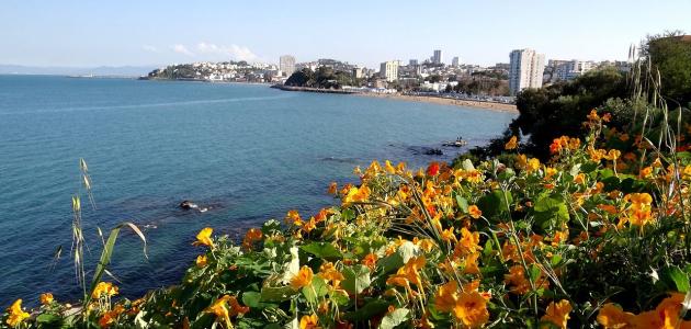 أين تقع مدينة عنابة