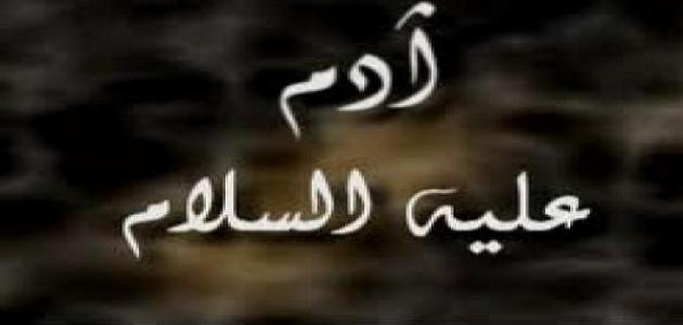 أين نزل سيدنا آدم وأمنا حواء أين نزل سيدنا آدم وأمنا حواء