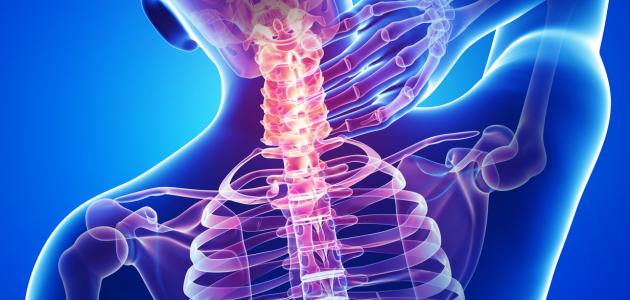 أين يقع النخاع الشوكي أين يقع النخاع الشوكي