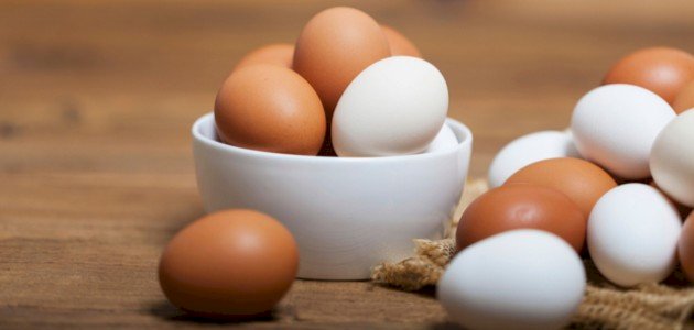 أين يوجد البروتين في البيض أين يوجد البروتين في البيض