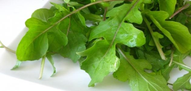 أين يوجد الزنك والكبريت أين يوجد الزنك والكبريت