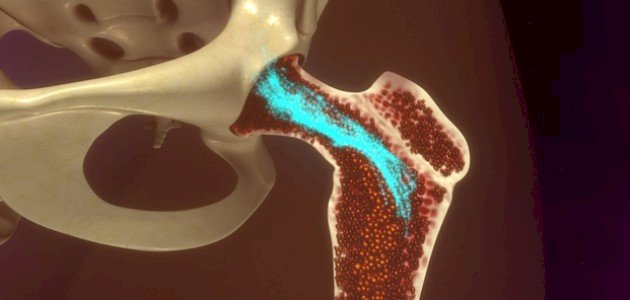 أين يوجد نخاع العظم