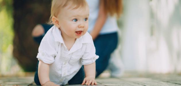 ابي احمل بولد