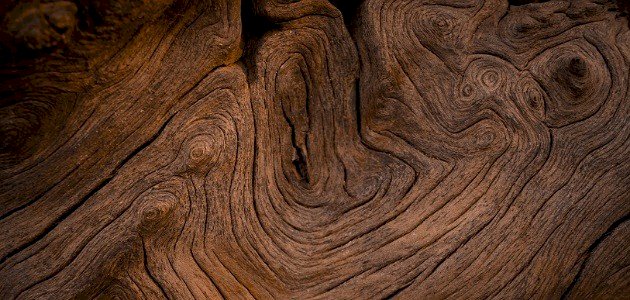 استخدامات خشب البلوط