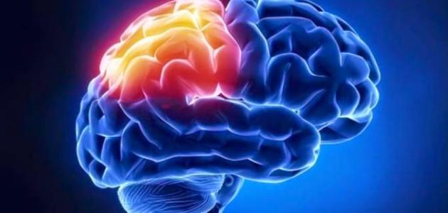 الأورام السحائية الدماغية - فيديو