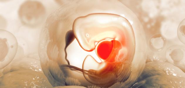 الإعجاز في خلق الإنسان الإعجاز في خلق الإنسان