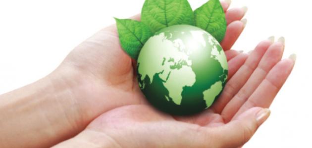 البيئة المدرسية والمحافظة عليها البيئة المدرسية والمحافظة عليها